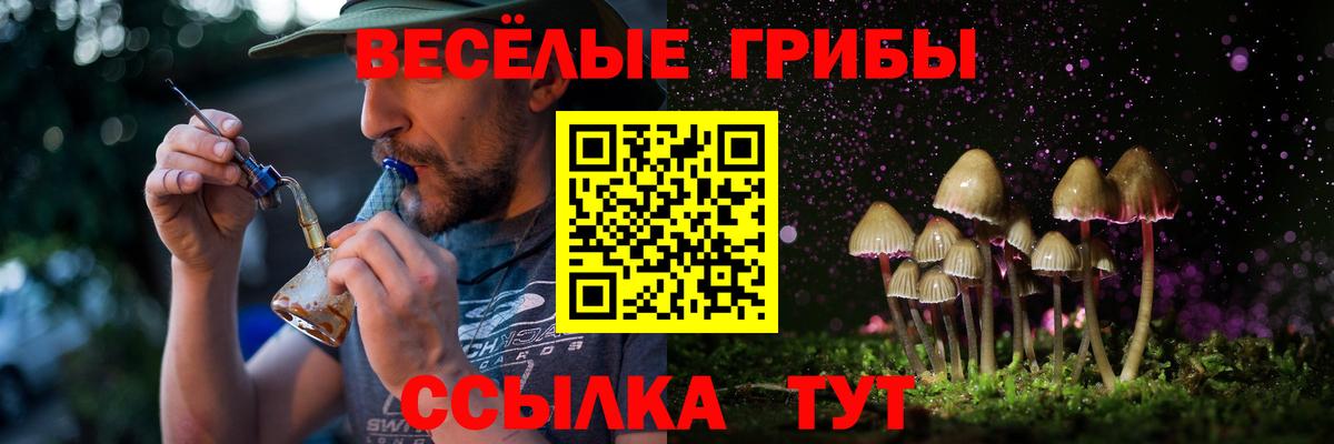 Псилоцибиновые грибы Cubensis Канаш